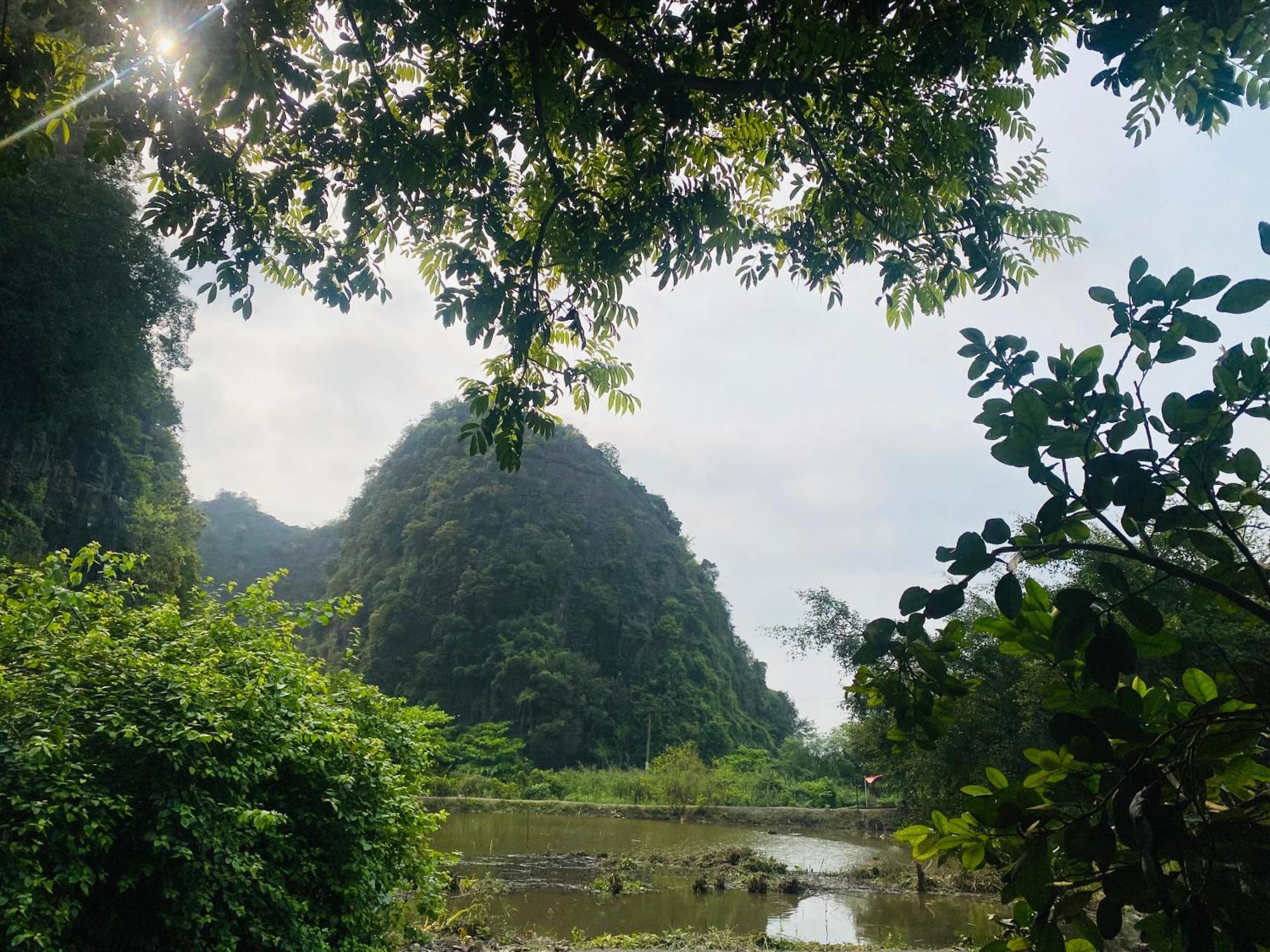Tamcoc Viet Tan Homestay & Garden Ninh Binh Luaran gambar