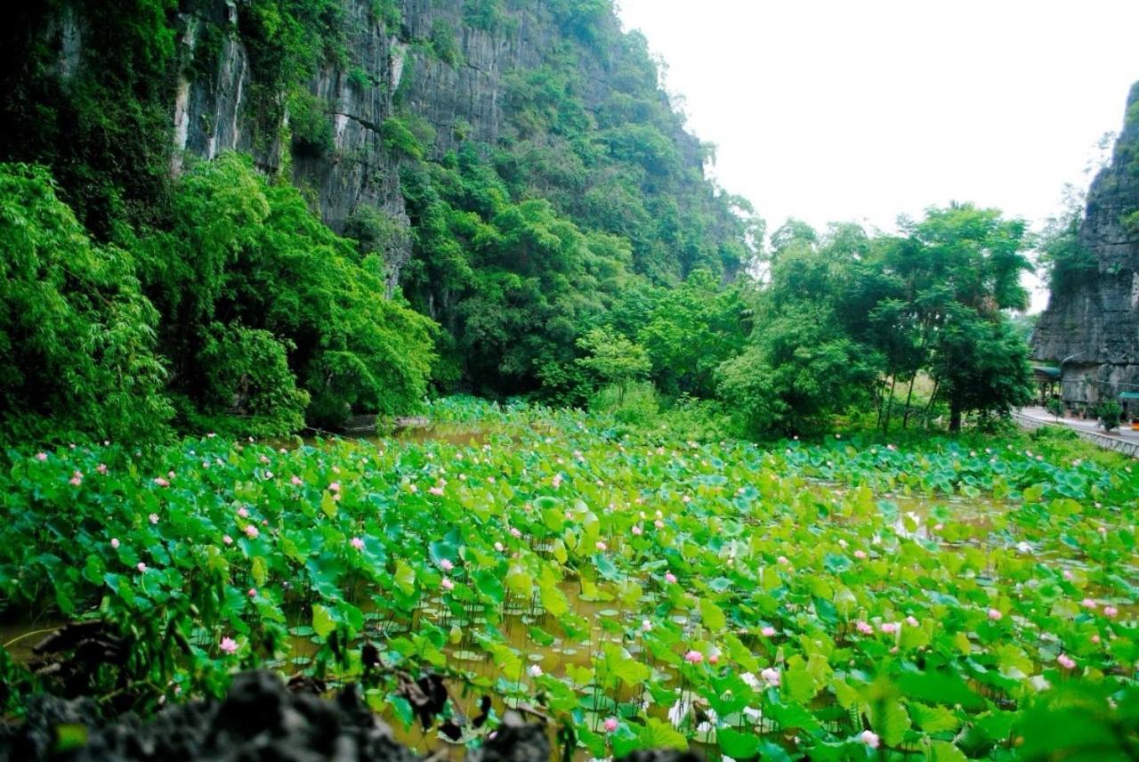 Tamcoc Viet Tan Homestay & Garden Ninh Binh Luaran gambar