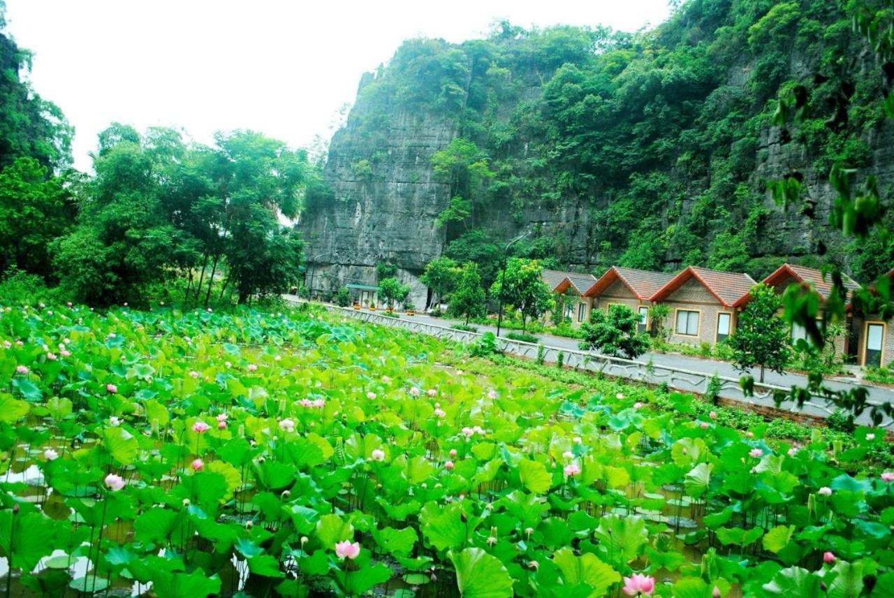 Tamcoc Viet Tan Homestay & Garden Ninh Binh Luaran gambar